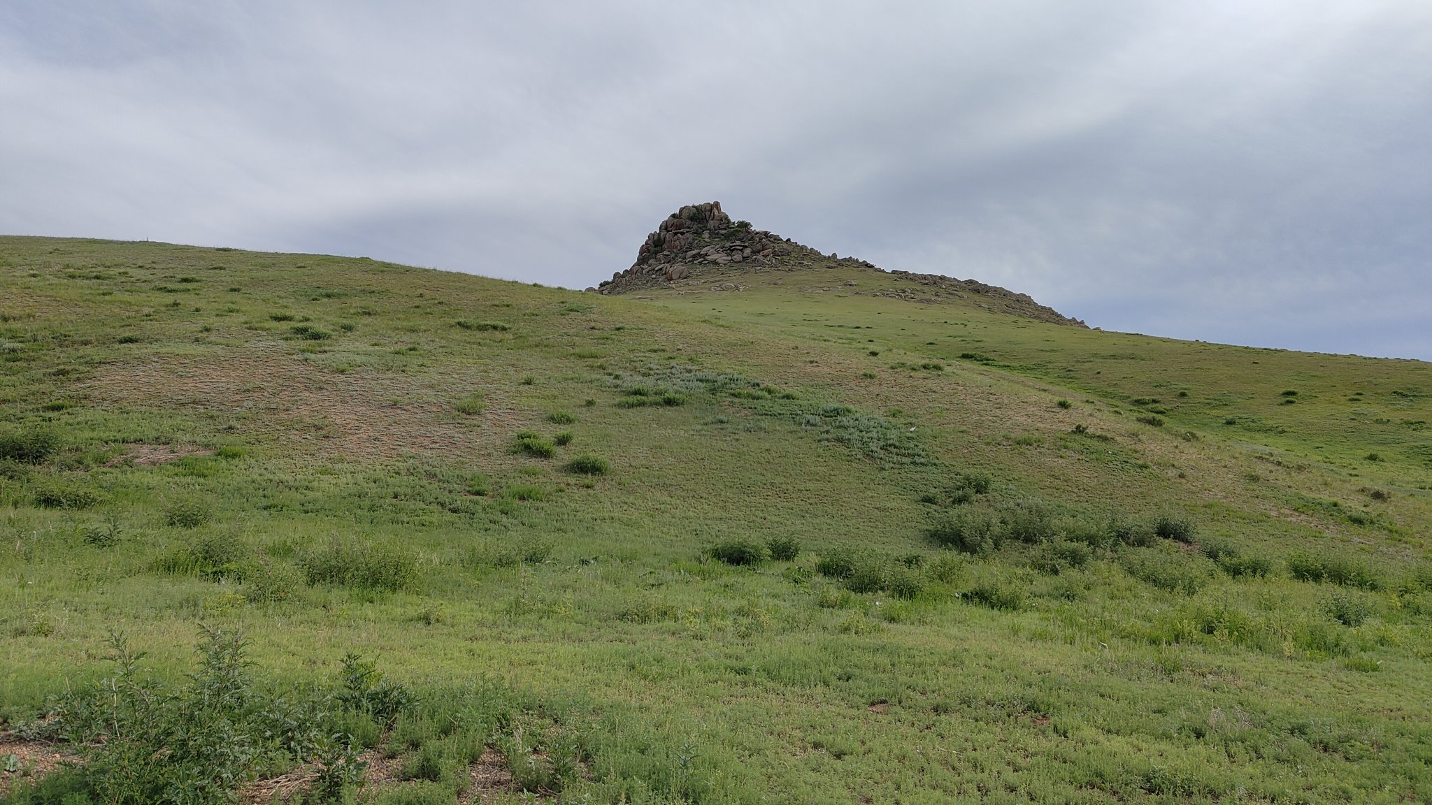 spot steppes