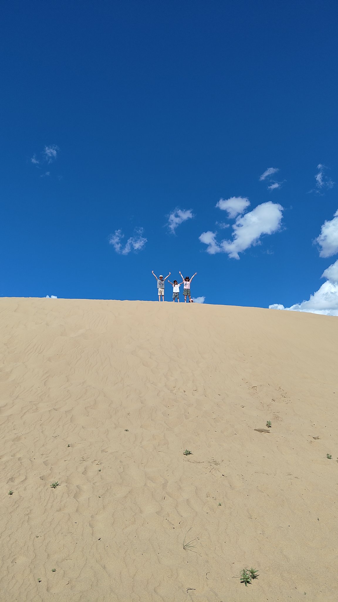 Mini Gobi