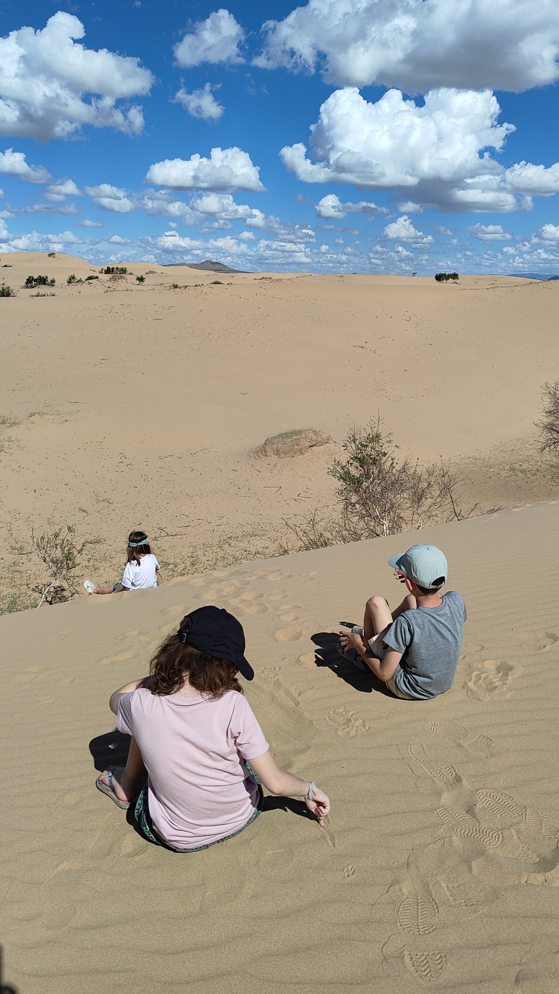 Mini Gobi