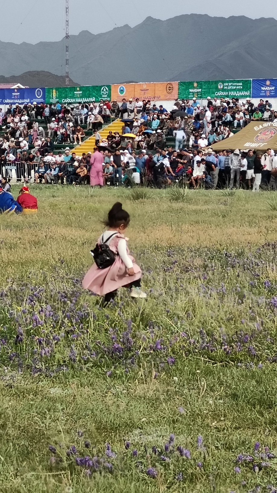 Naadam