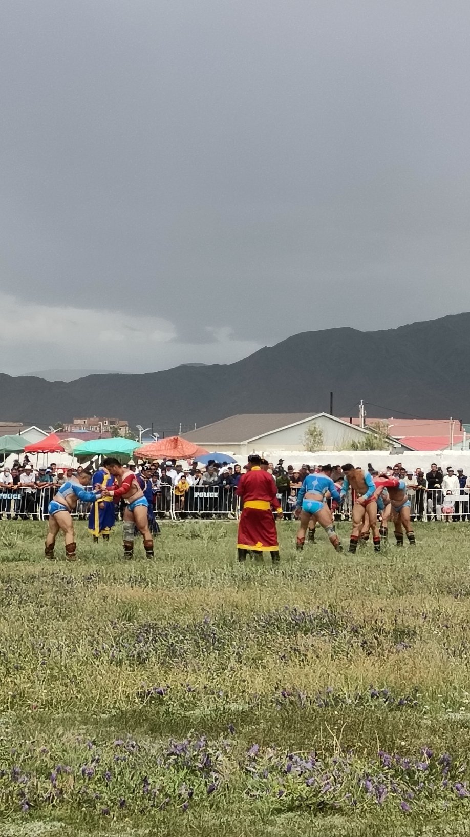 Naadam - Lutte mongole