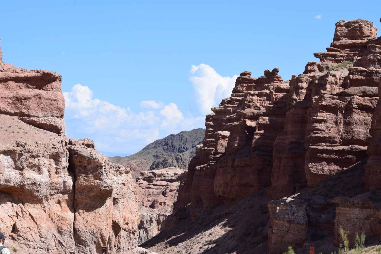 canyon charyn