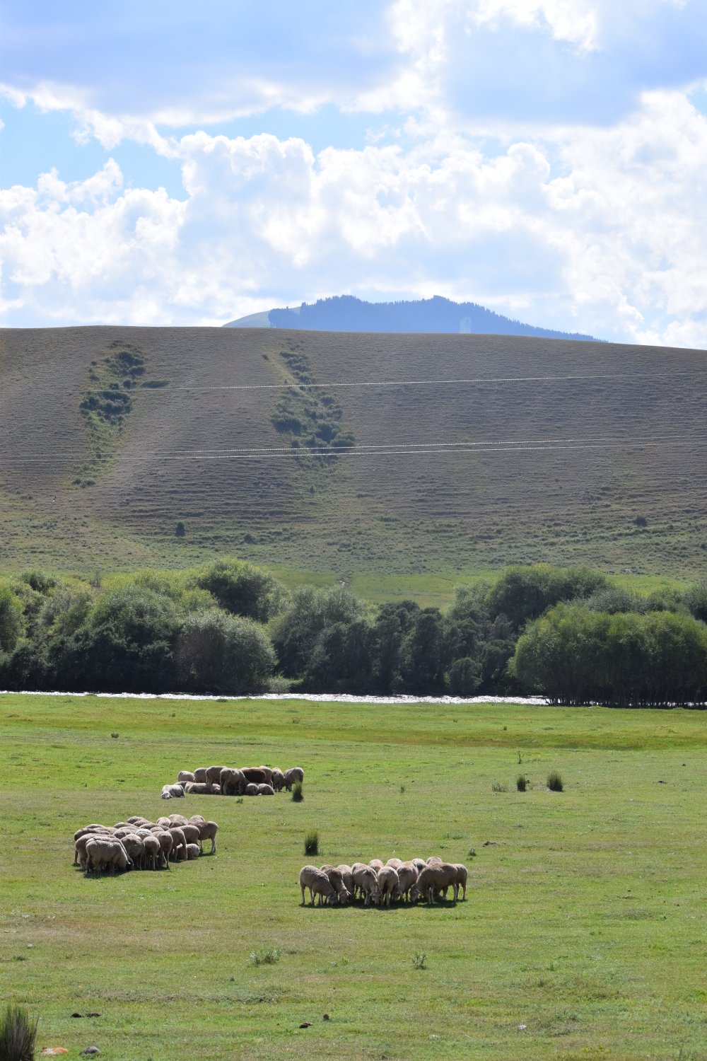 paysage