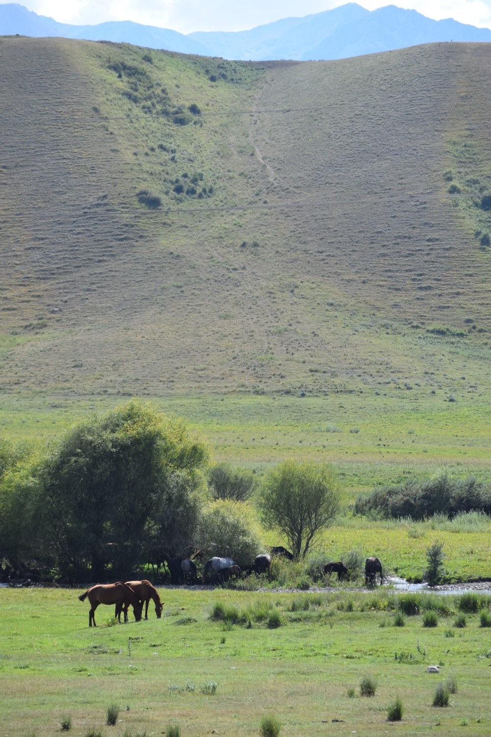 paysage