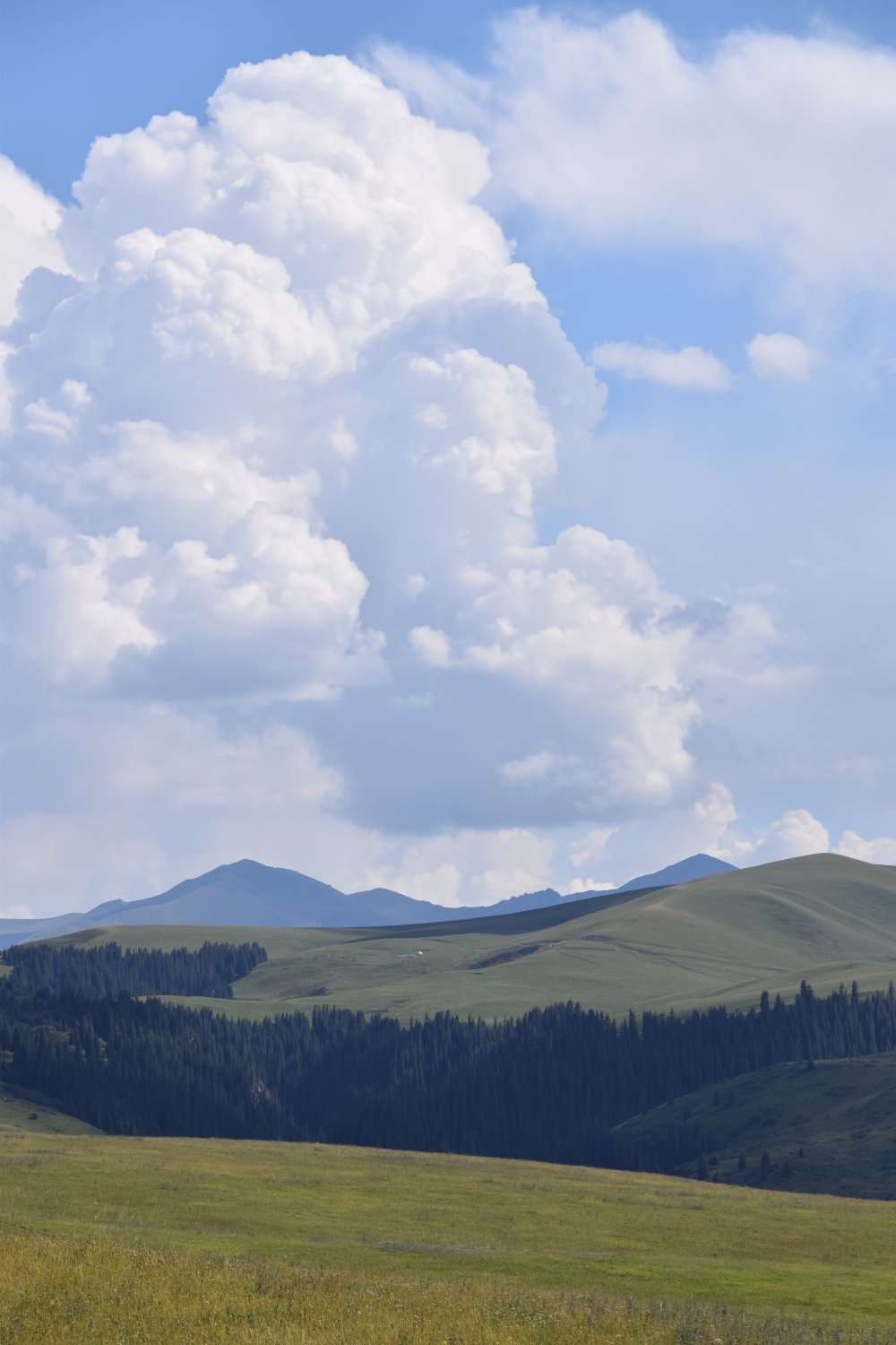 paysage