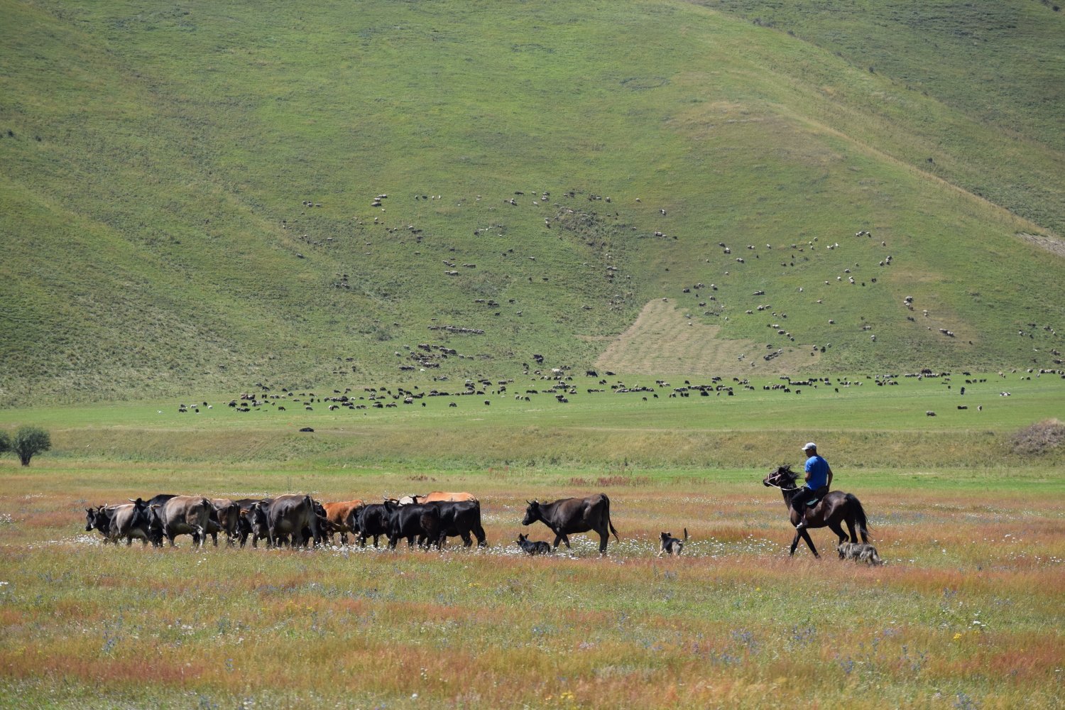 col de Kyzyl Kiya