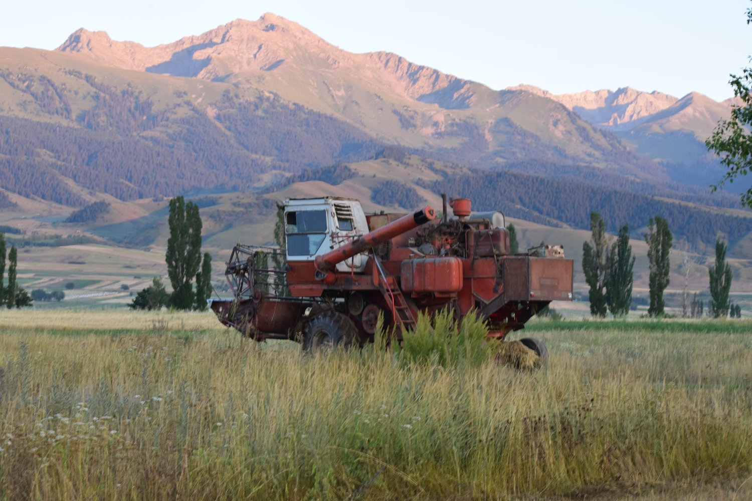tracteur