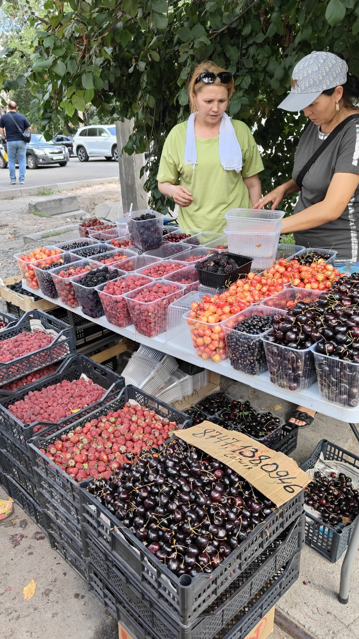 Fruits rouges