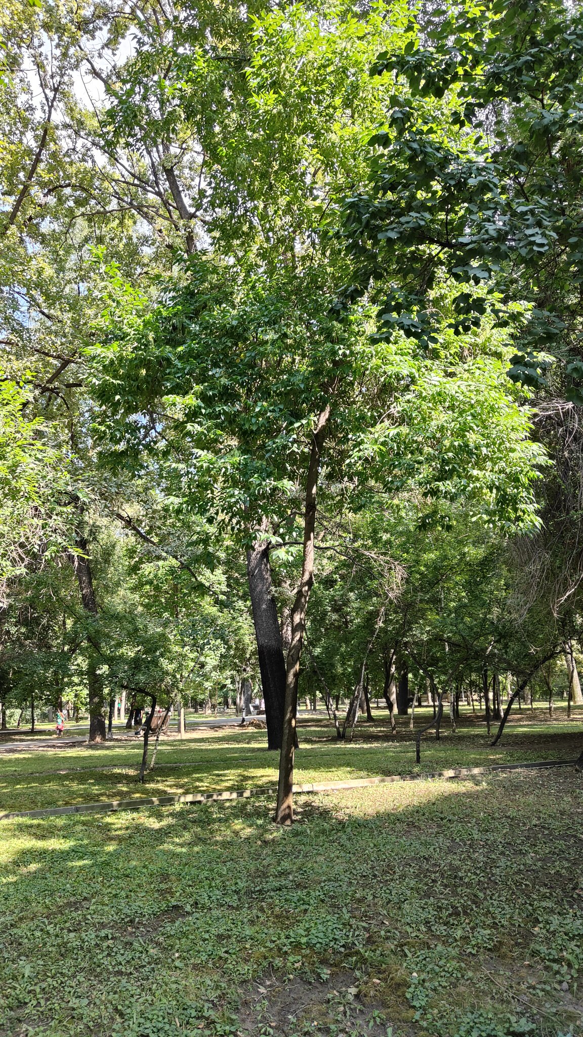 Almaty