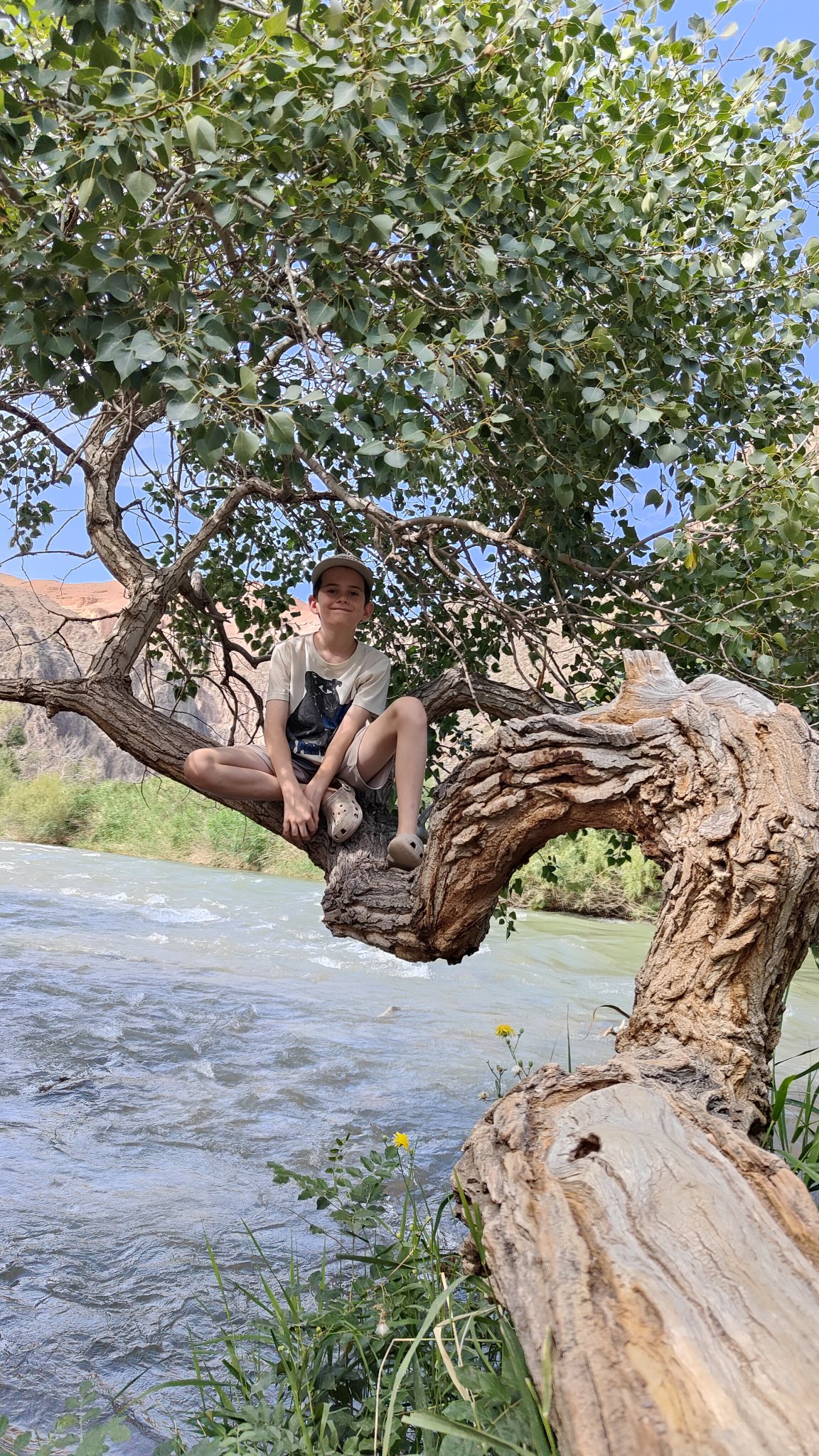 Rivière Charyn