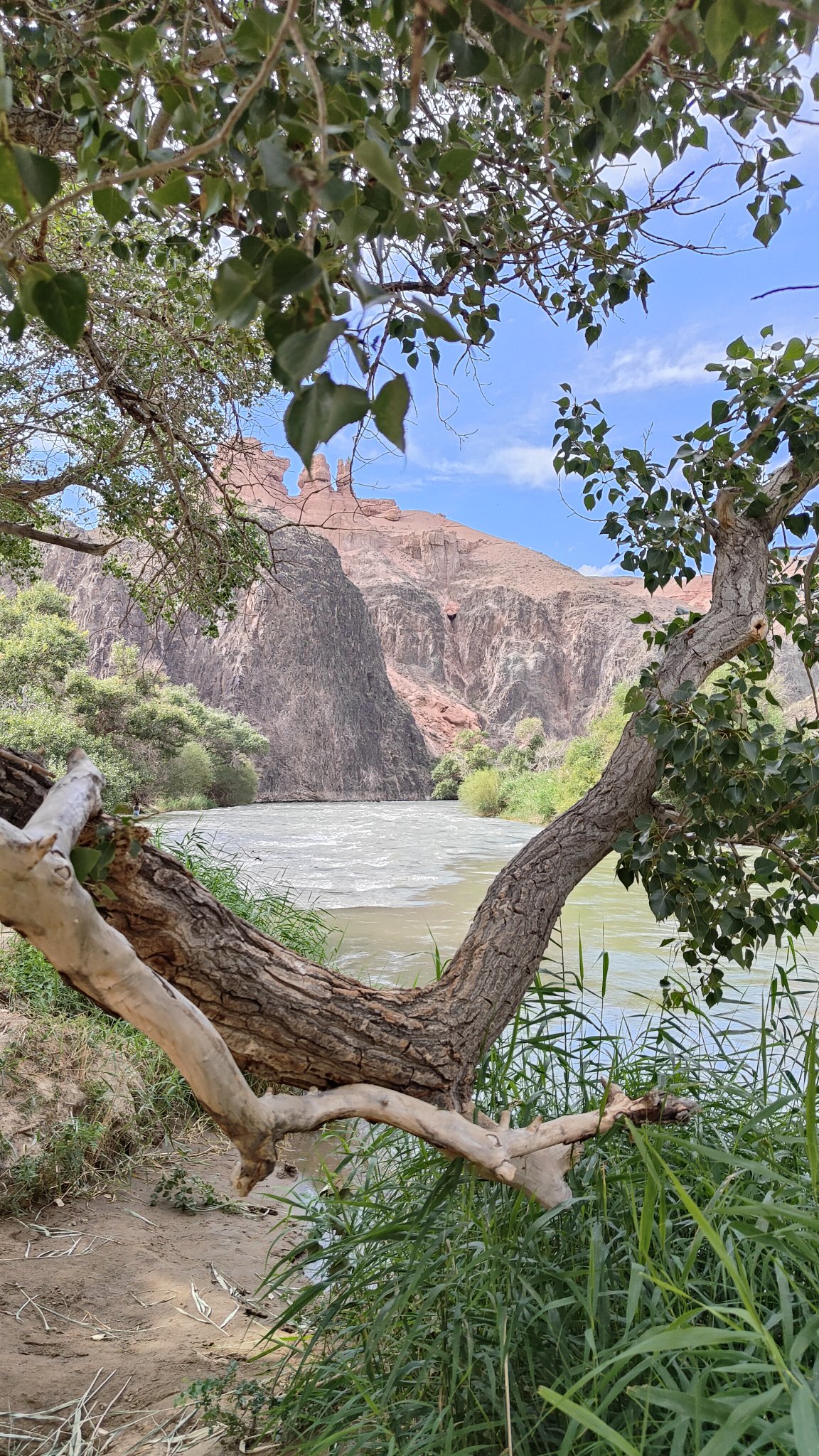 Rivière Charyn