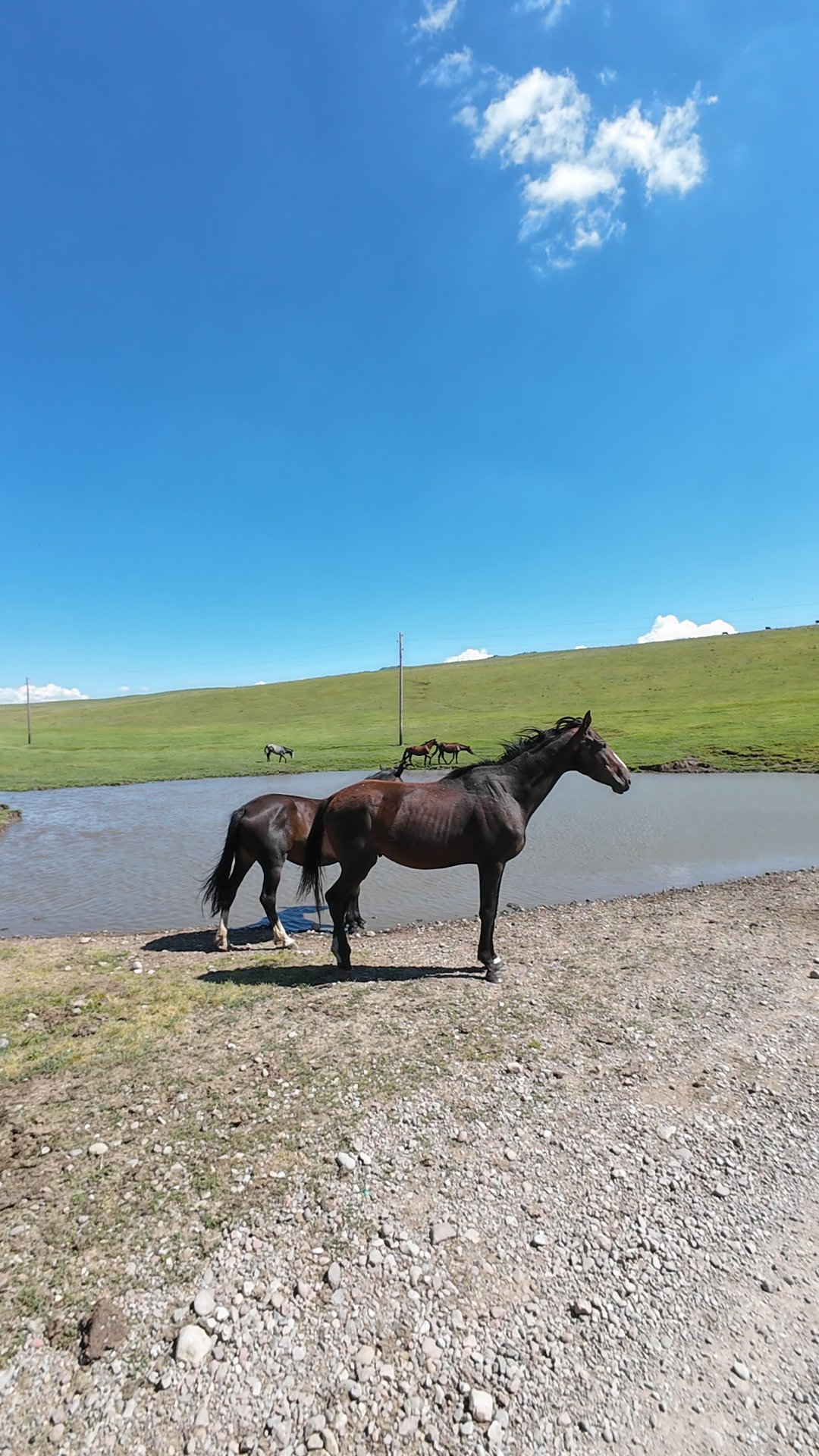 col de Kyzyl Kiya