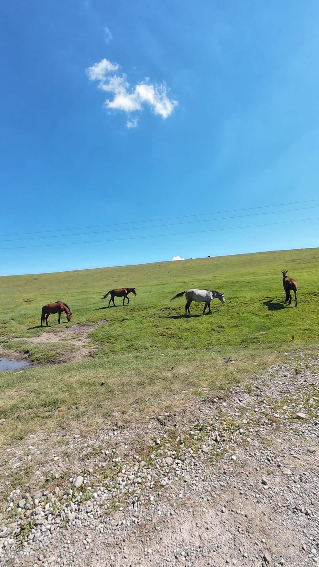 col de Kyzyl Kiya