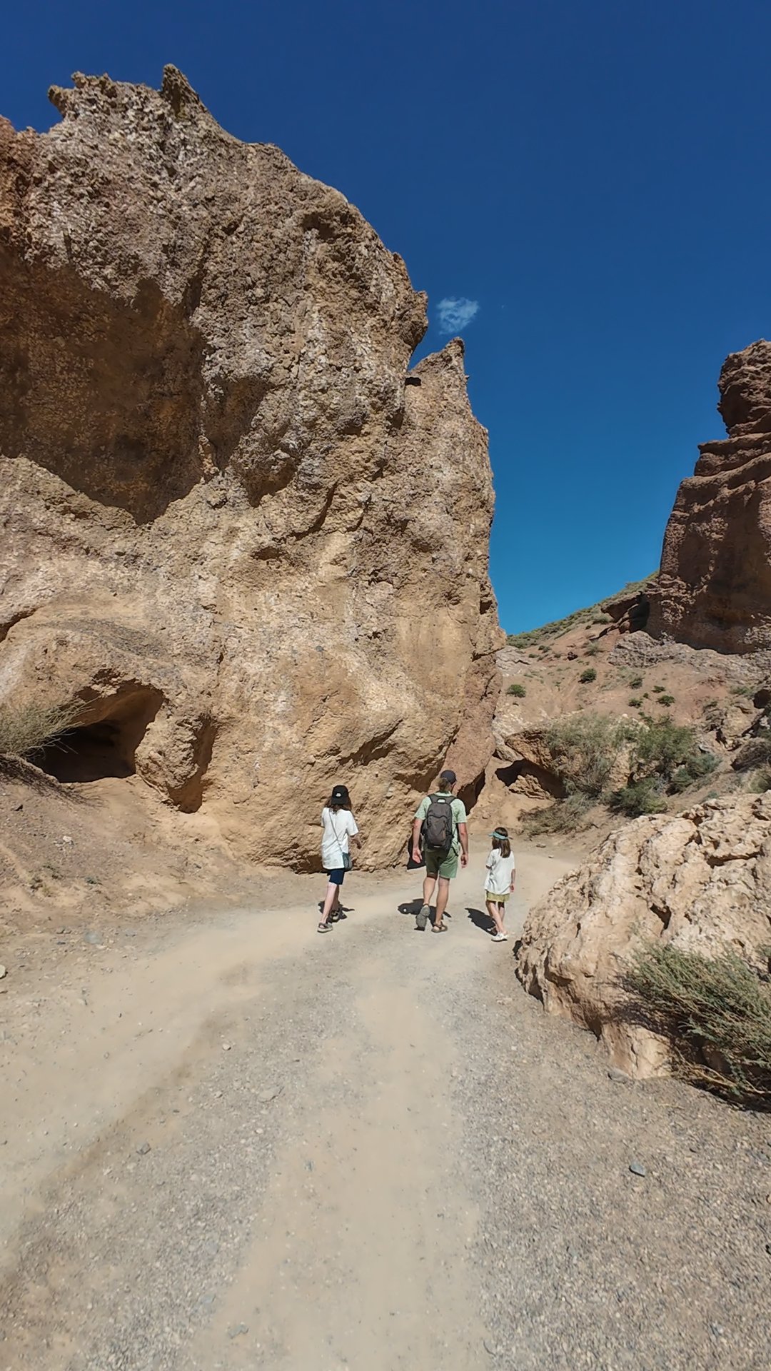 canyon charyn