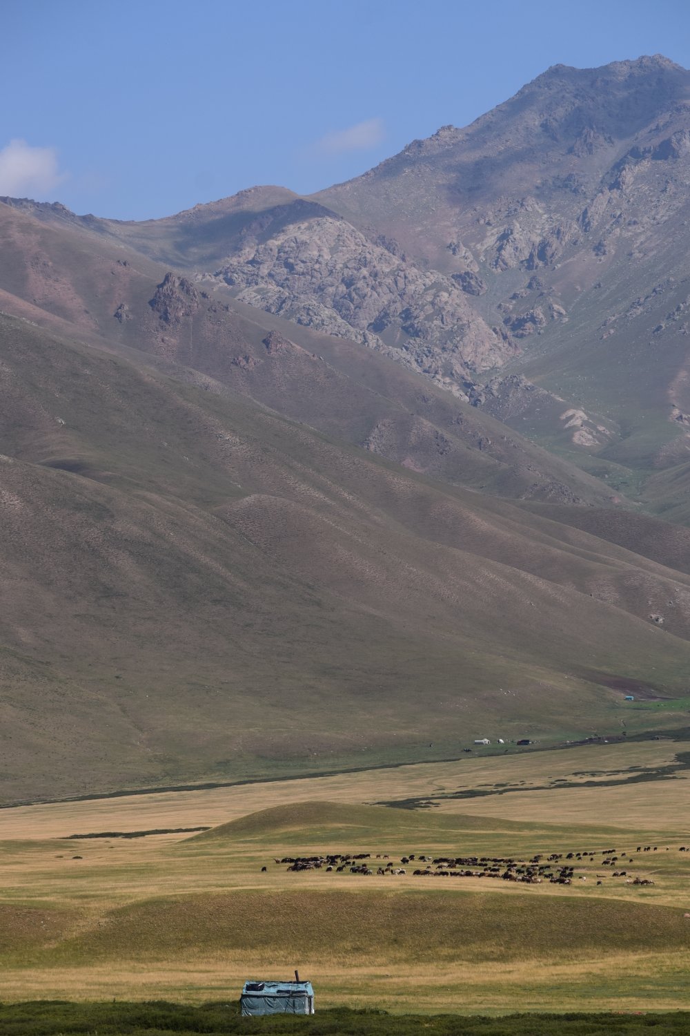 col Taldyk