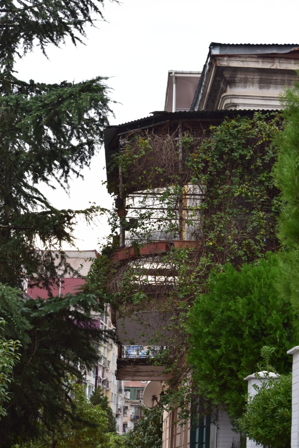 Batumi
