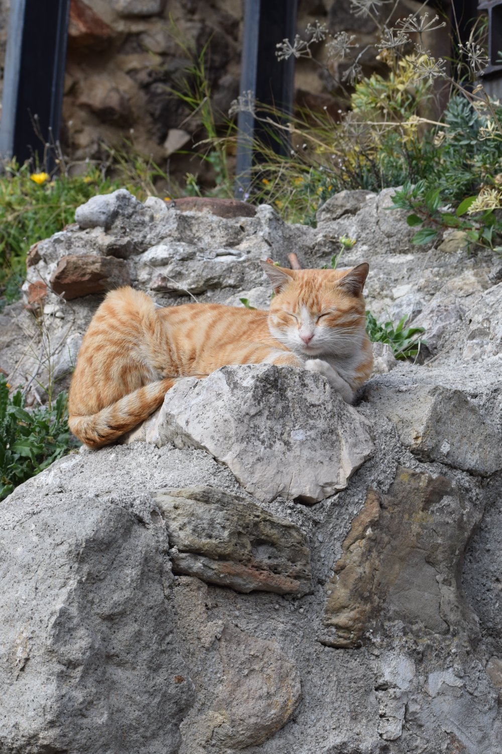 Amasra