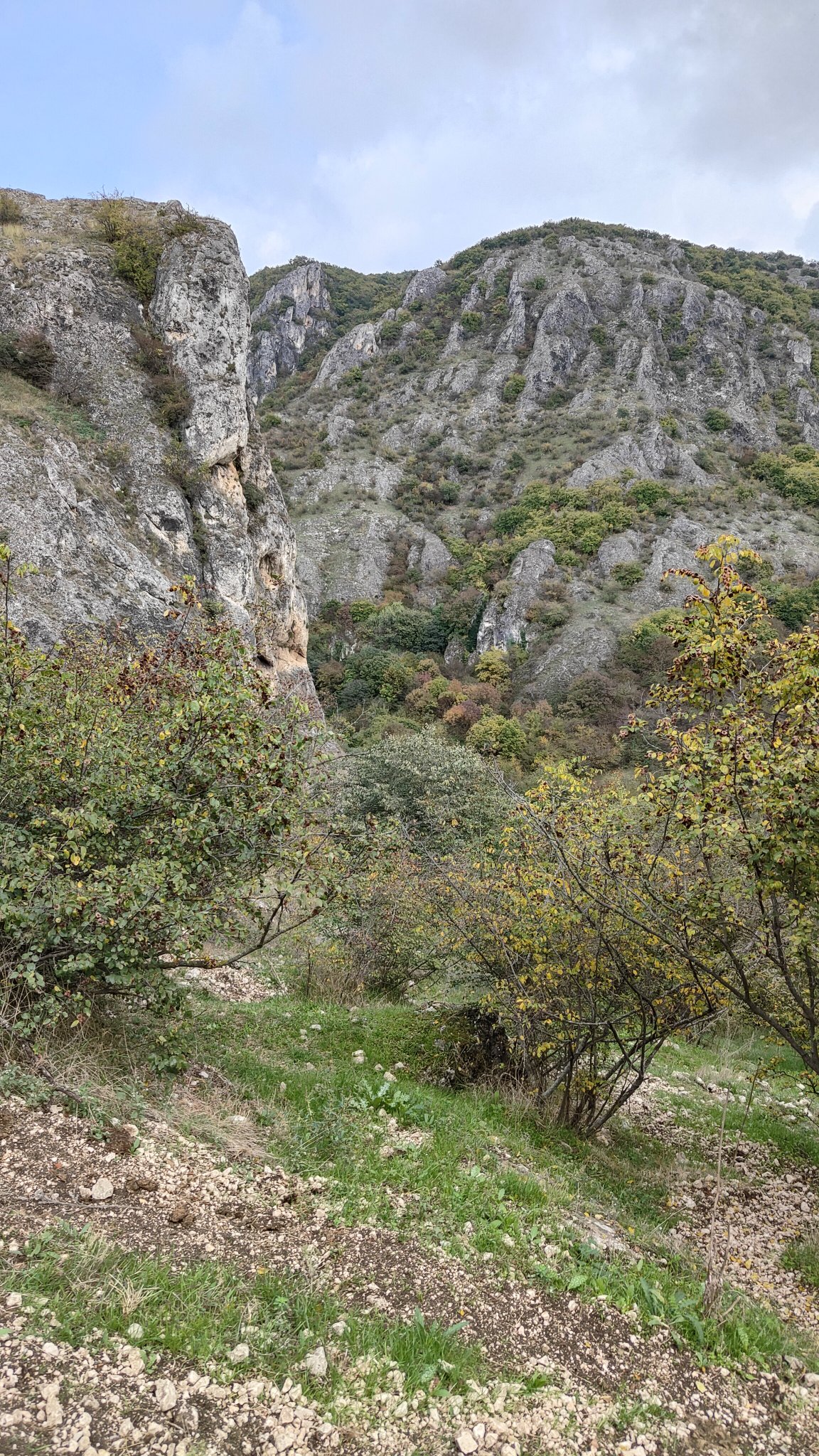 Gorge de l'aigle - Vashlovani