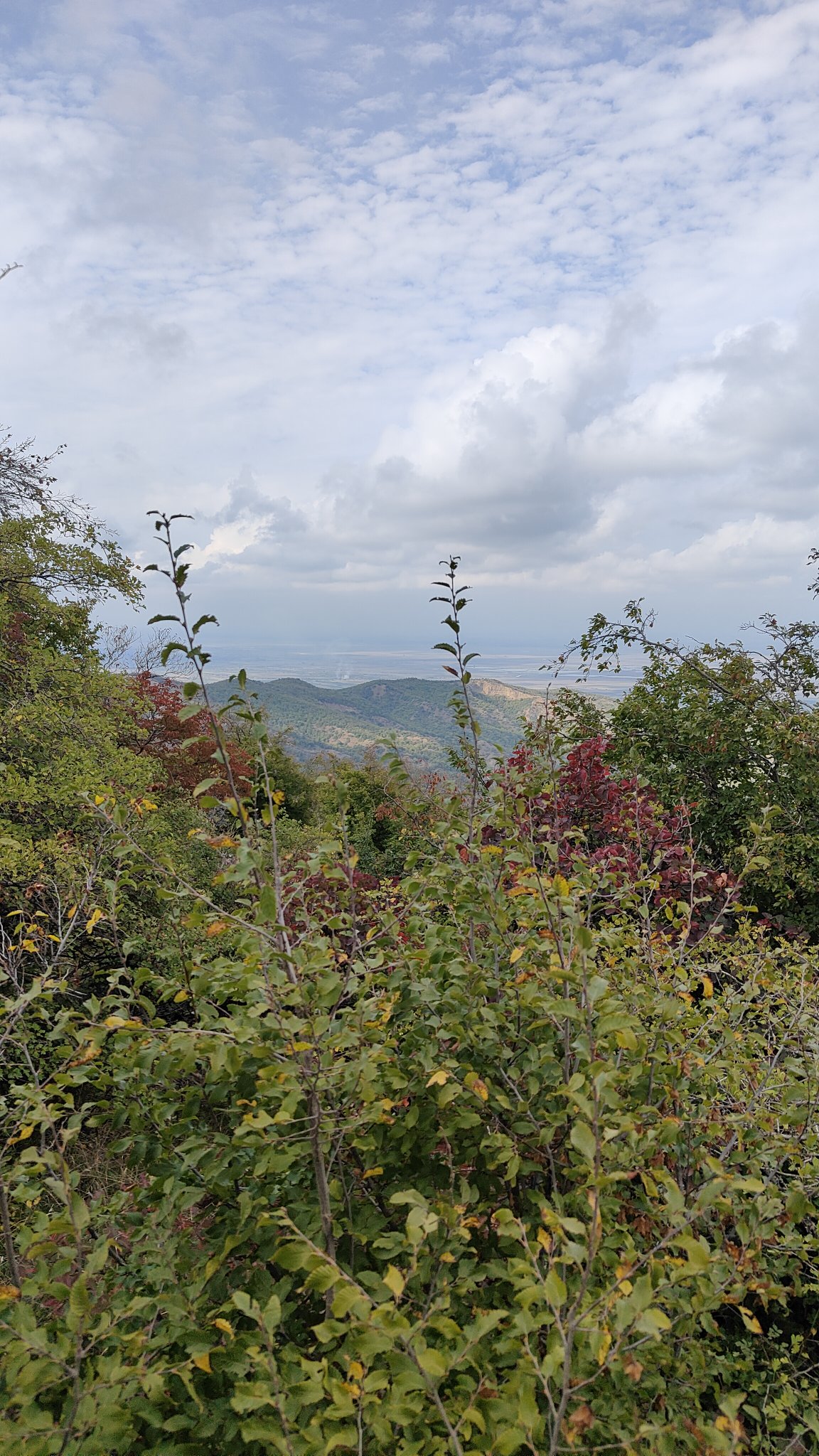 Gorge de l'aigle - Vashlovani