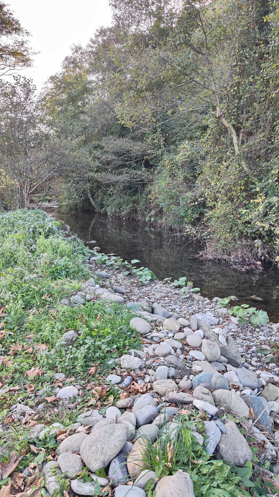 rivière