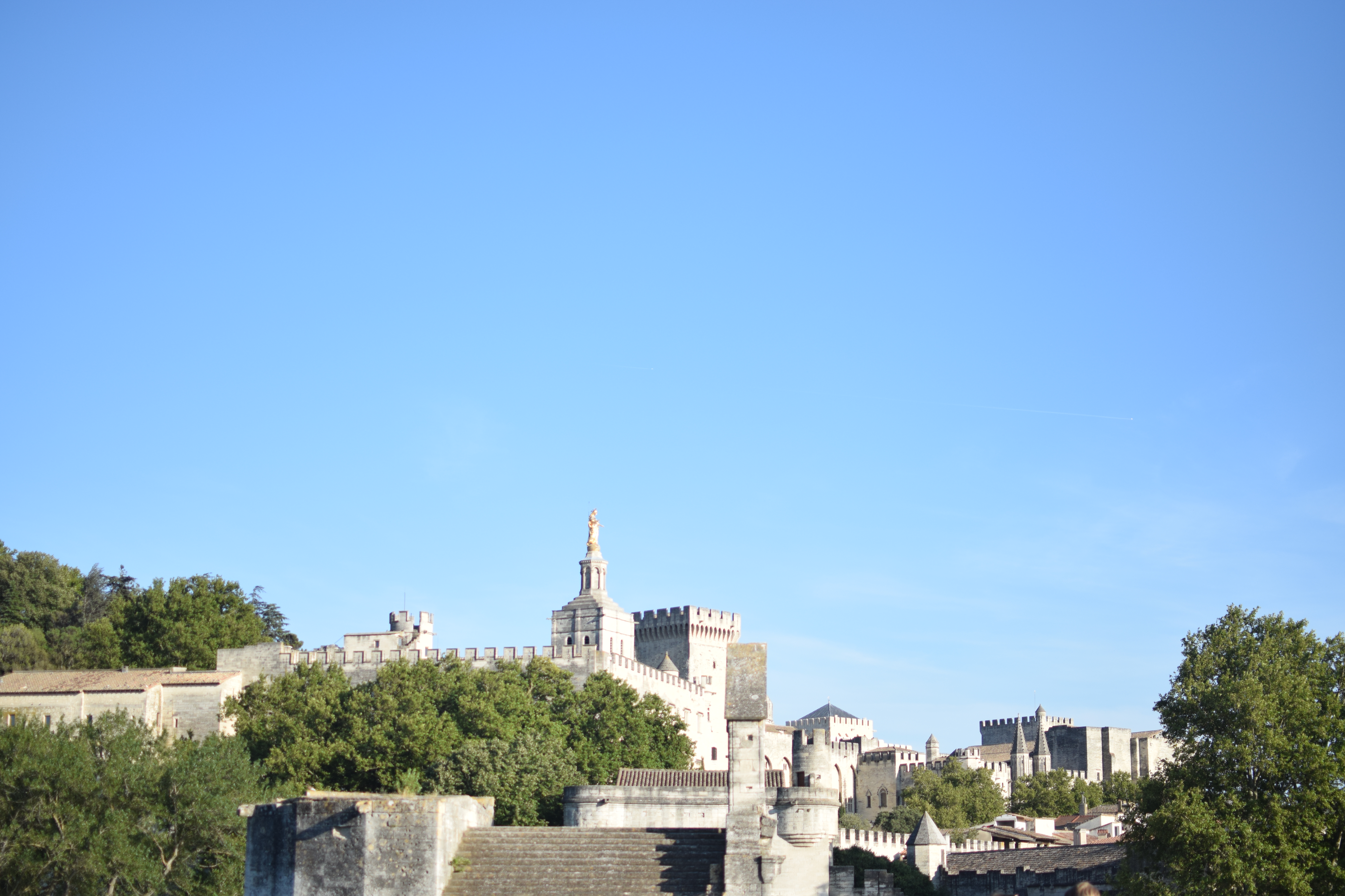Vue sur Avignon depuis le pont