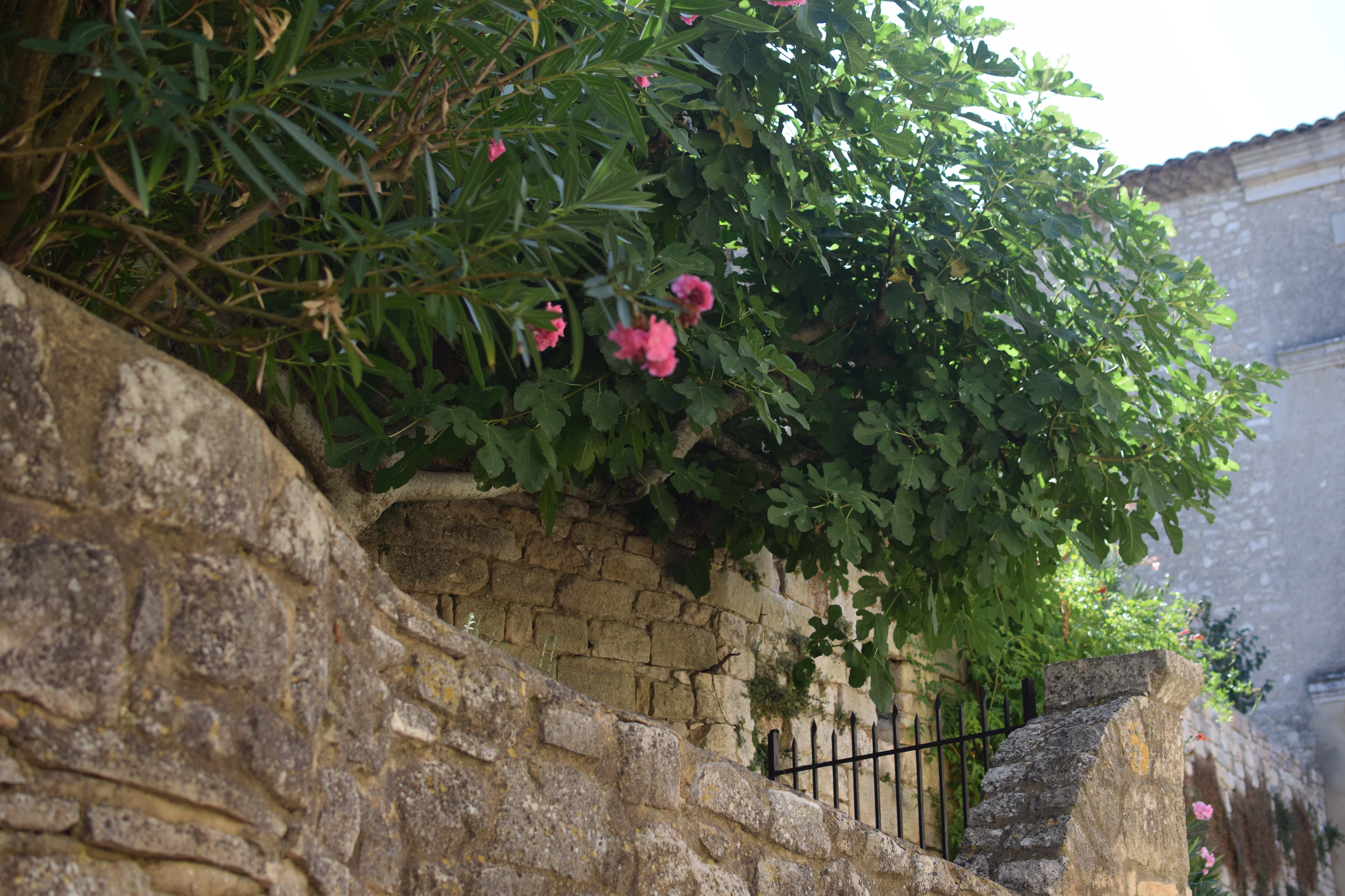 Village de Montclus, classé parmi les Plus Beaux Villages de France, avec ses ruelles pavées et maisons en pierre.
