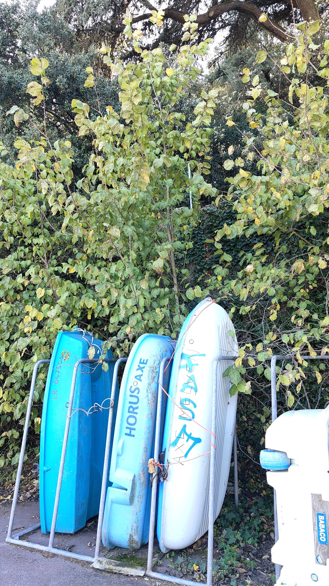 Octobre sur les routes - Pornic