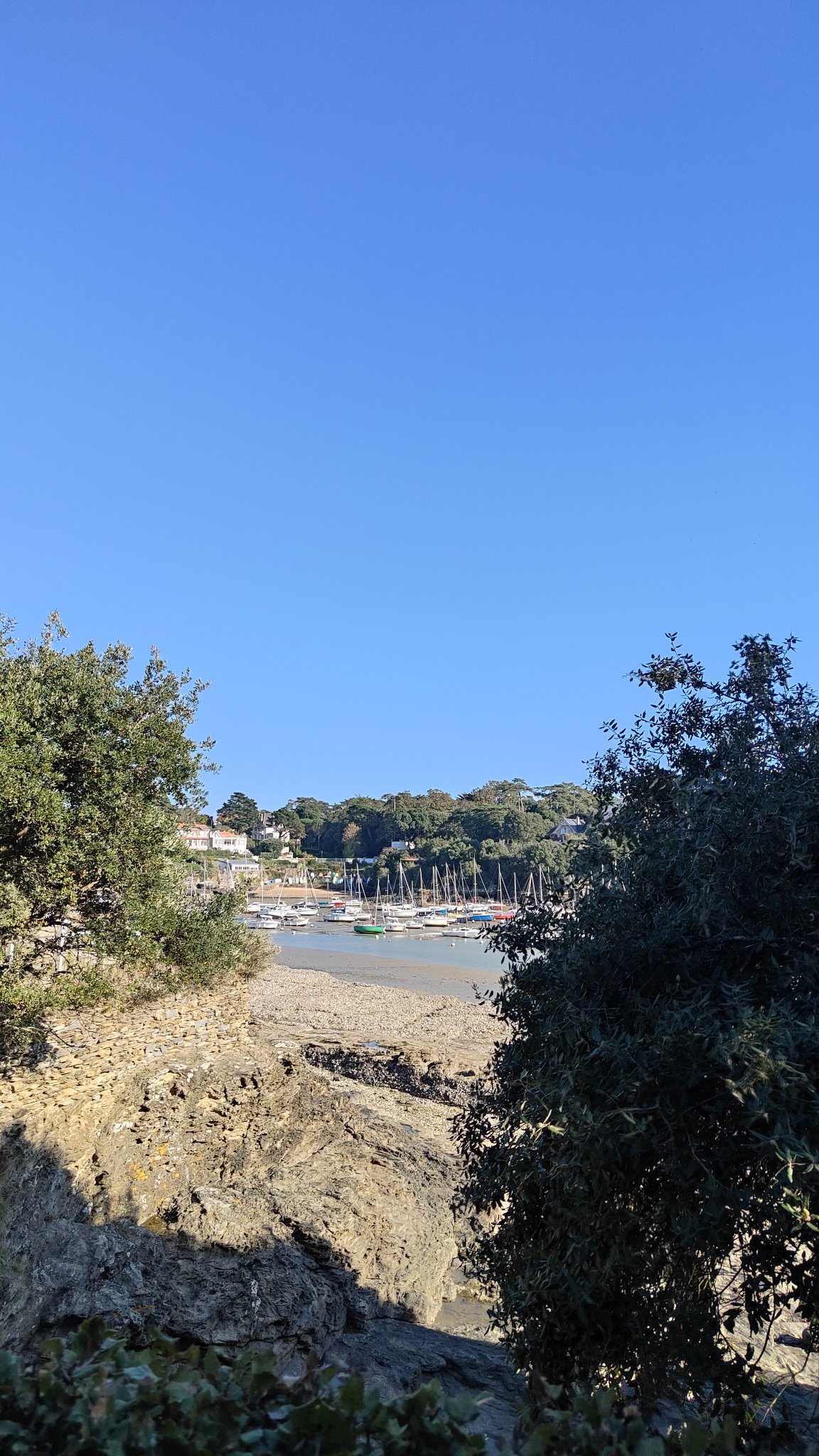Paysage