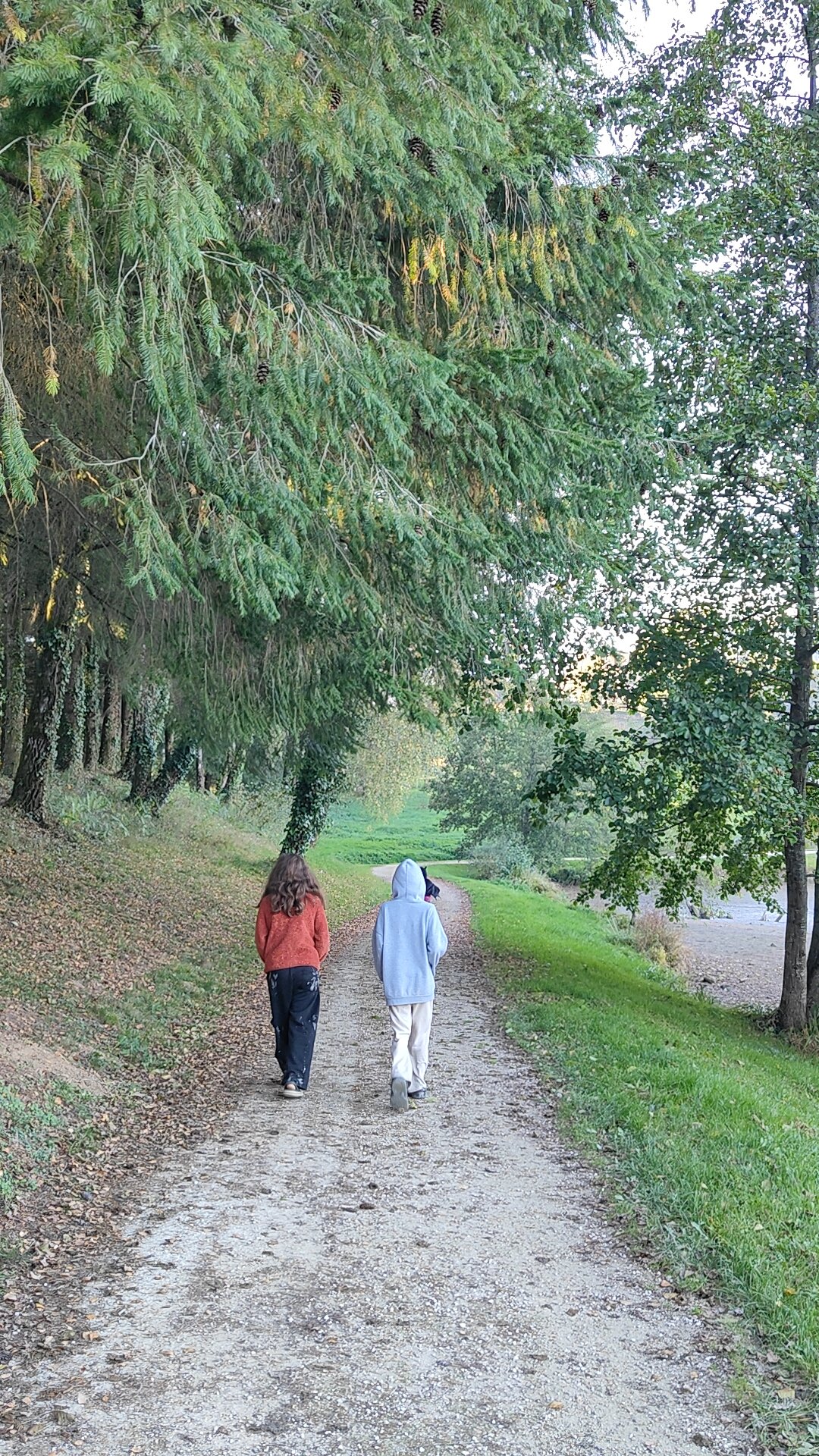 Enfants qui se promènent