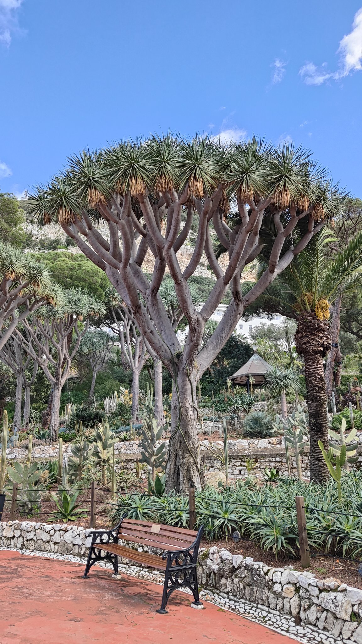 Jardins botaniques