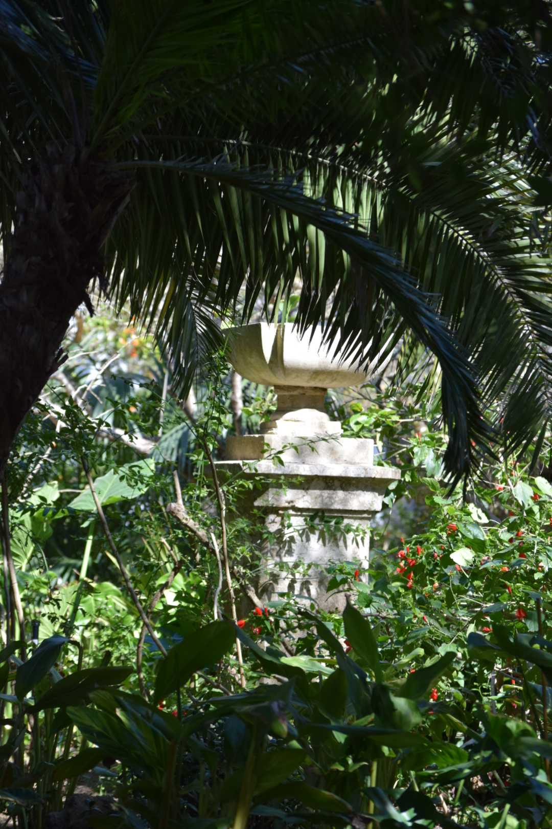 parc botanique Genovés Cadiz
