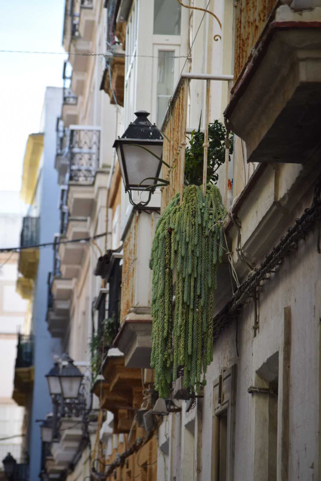 Rue de Cadiz