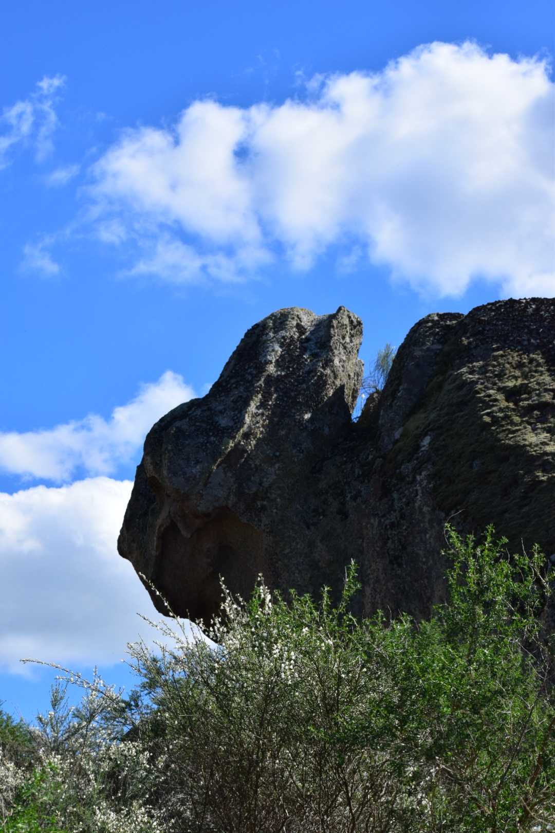 parc naturel Los Barruecos