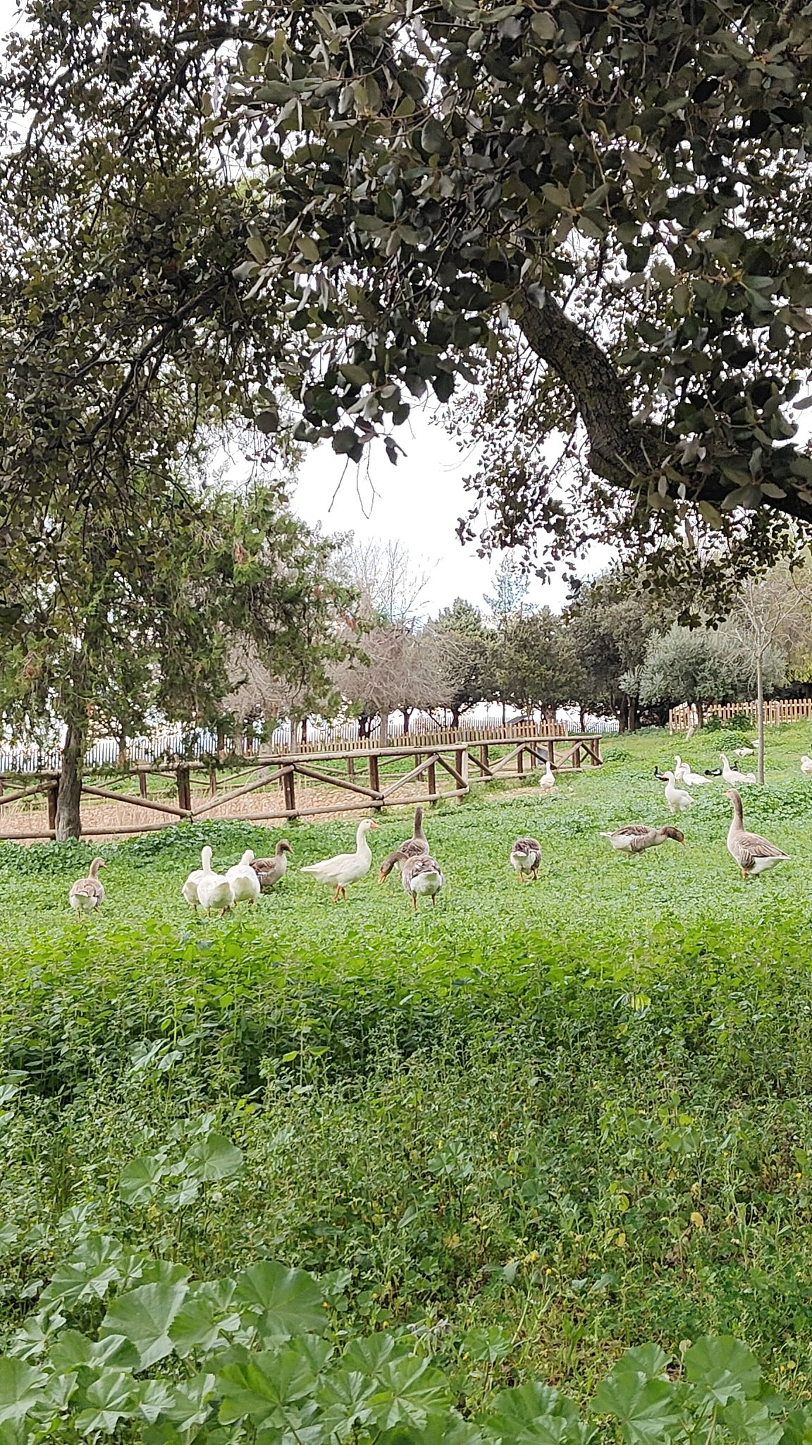 Parc Villafranca de los Barros